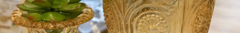 Banner da categoria Vasos