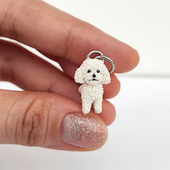 Miniatura de Poodle Branco