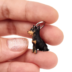 Miniatura de Pinscher - comprar online