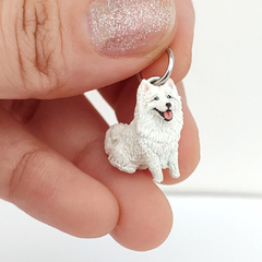 Miniatura de Samoieda na internet