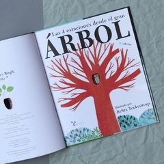 Las 4 estaciones desde el gran árbol en internet