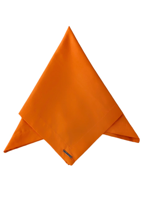 GUARDANAPO BASIC LARANJA