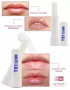 LIP CBO EMPRENDEDORA 35 PRODUCTOS - tienda online