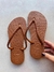 KIT HAVAIANAS MALDIVAS 12 PARES - loja online