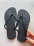 Imagem do KIT HAVAIANAS MALDIVAS 12 PARES