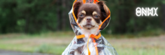 Banner da categoria Capa de chuva