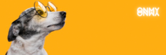 Banner da categoria Pets