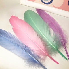Plumas