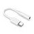 Adaptador Auxiliar 35mm a Tipo-C Análogo [Cable de PVC] + Empaque
