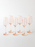 Set x 6 Copa de Champagne 195ml Rosa - comprar online