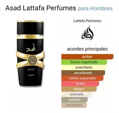 Set De Perfumes Asad Y Asad Zanzibar Hombre Edp 100ml en internet