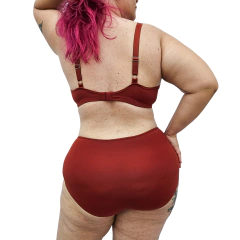 Calcinha Alta Cobertura em lycra (14 opções de cores) - Donna Calcinha