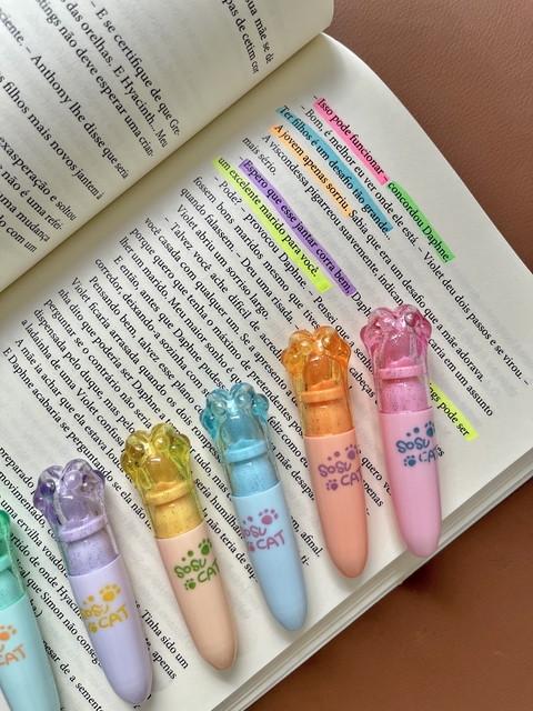 Marca texto patinhas 6 cores