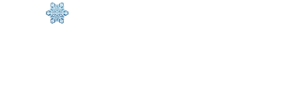SJF REPUESTOS