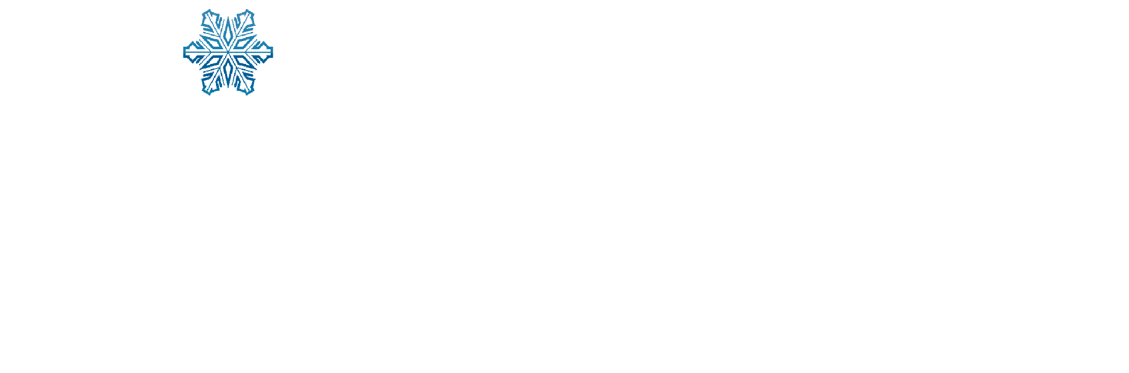 SJF REPUESTOS