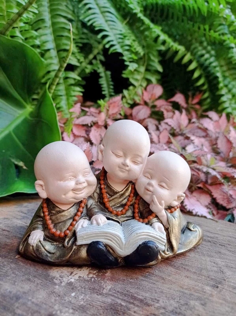 TRIO MINI BUDAS DO CONHECIMENTO