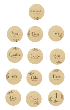 Kit Placa Mesversário Personalizado