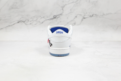 Nike Dunk Low Just Vote na internet