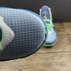 Nike LeBron 19 Dutch Blue Lime Glow na internet