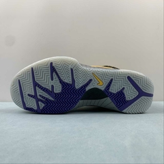 Nike Kobe 4 Protro Carpe Diem