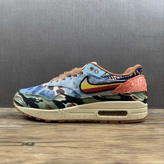 Nike Air Max 1 SP Concepts Heavy