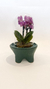 Terrário Liz - comprar online