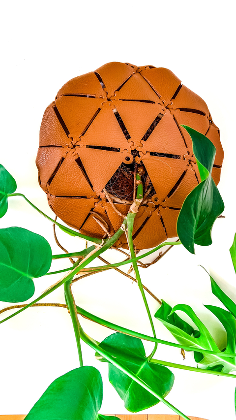 Cachepot Trini - comprar online