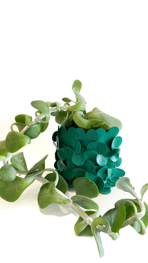 Cachepot Flô - comprar online