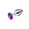 Plug anal P roxo