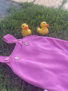 JARDINEIRAS/BANHO DE SOL PINK RN na internet
