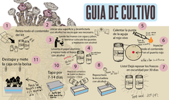 Banner de la categoría Guía de cultivo 