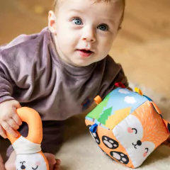 CUBOTINO ZORRITO - comprar online
