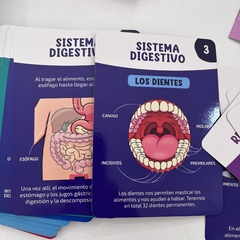 Cartas “El cuerpo humano” - tienda online