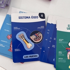 Imagen de Cartas “El cuerpo humano”