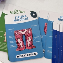 Cartas “El cuerpo humano” - comprar online