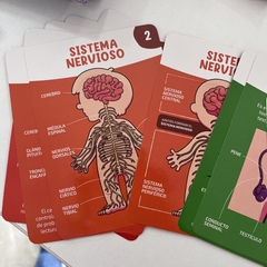Cartas “El cuerpo humano” - Sol Ros 
