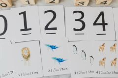 flash Cards Numeros 0 al 20 - Sol Ros 