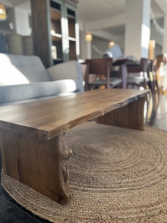 Ratona maciza en internet