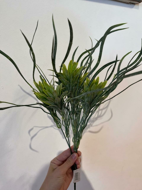 Rama flores con follaje