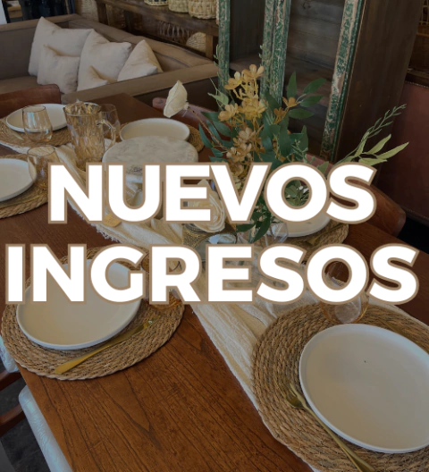 Carrusel Nativa Interiores