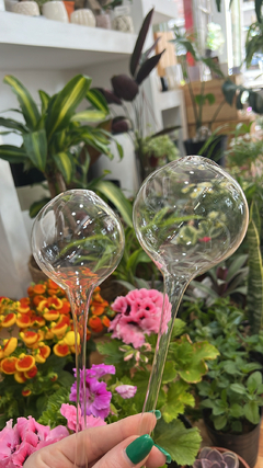 Gota de Riego