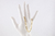 Pulseira Masculina Grumet 4.6 21cm - comprar online