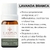 Óleo Essencial Lavanda Laszlo (Lavandula Viridis) Gt Portugal 5ml na internet