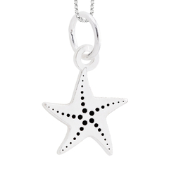 Pingente Prata Estrela do Mar - comprar online