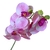 Orquídea com 6 Flores Siliconada Toque Real 70cm - BM Utilidades & Presentes