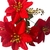 Imagem do Flor de Natal Pequena Buquê com 5 Flores Bico de Papagaio Artificial
