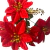 Imagem do Flor de Natal Pequena Buquê com 5 Flores Bico de Papagaio Artificial