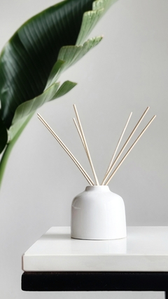 DIFUSOR / FLORERO POT