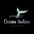 Aros Con Cubics Plata 925 Acz380 Peso 2,2 - Ocean Indico