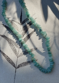 COLLAR CANDY en internet